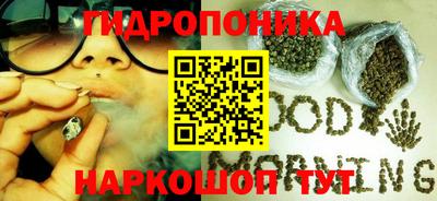 МДПВ Партизанск