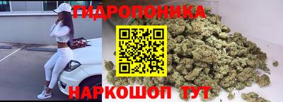 МДПВ Партизанск